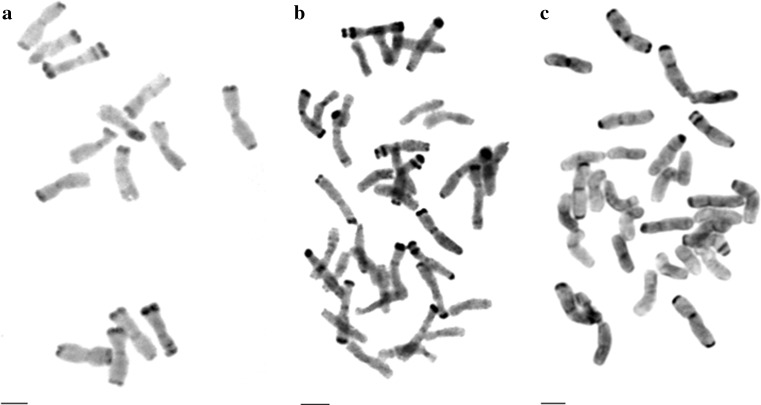 Fig. 2