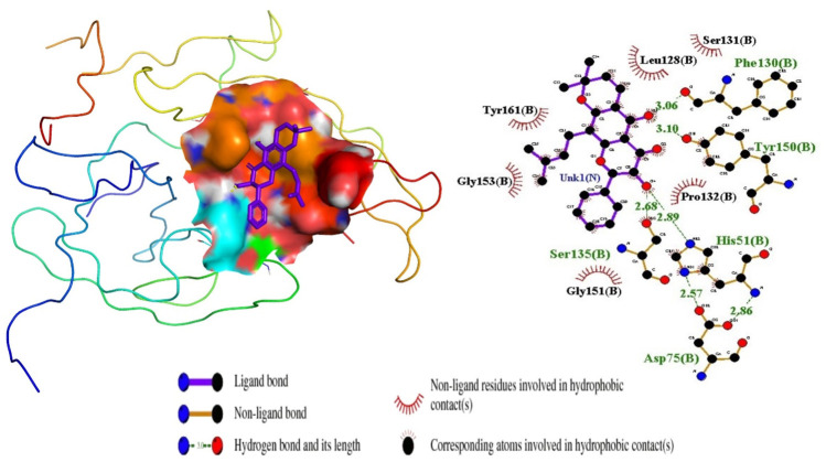 FIGURE 4