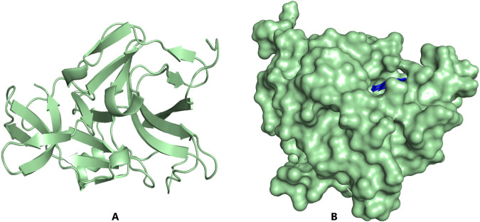 FIGURE 3