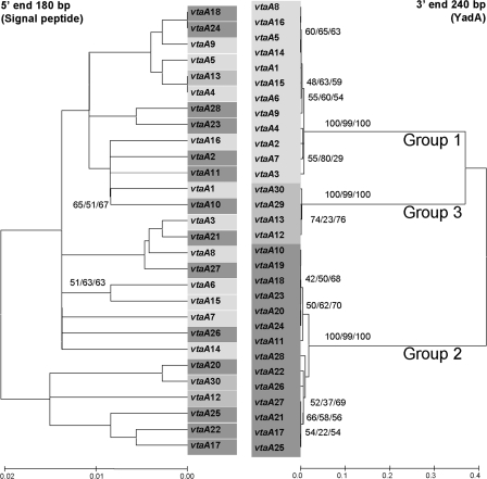 FIG. 2.