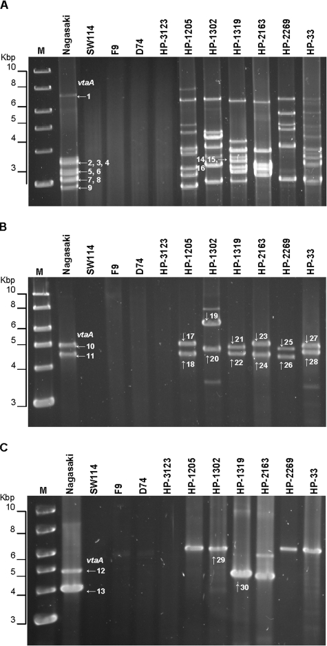 FIG. 4.