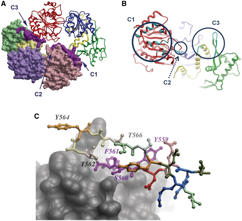 Figure 3.