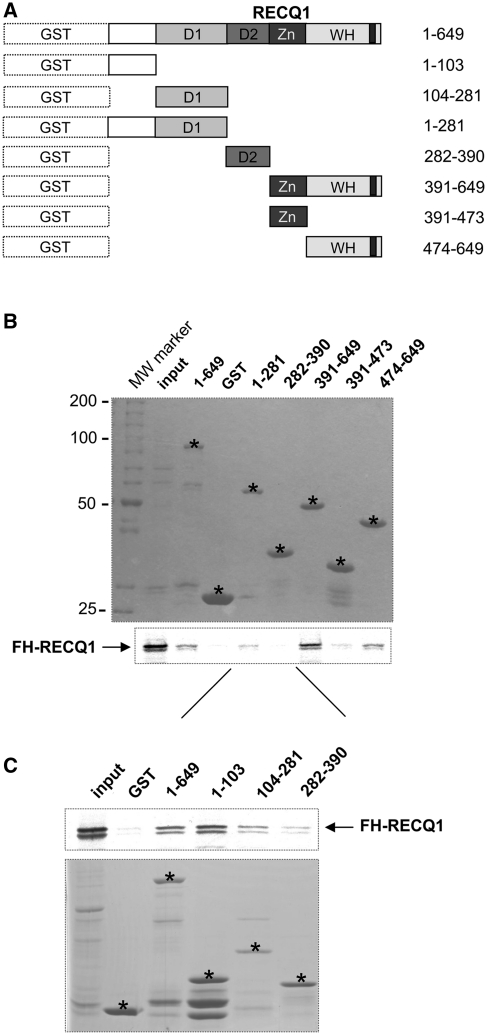 Figure 7.