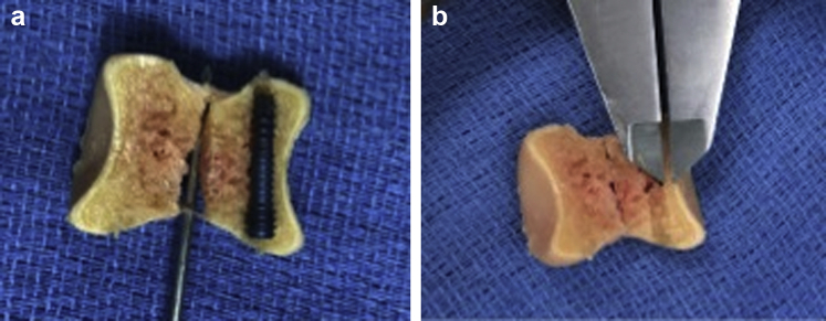 Figure 3