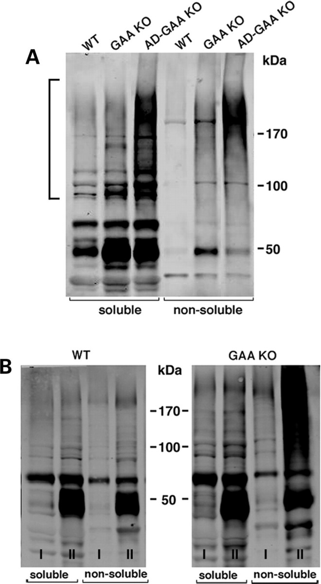 Figure 3.