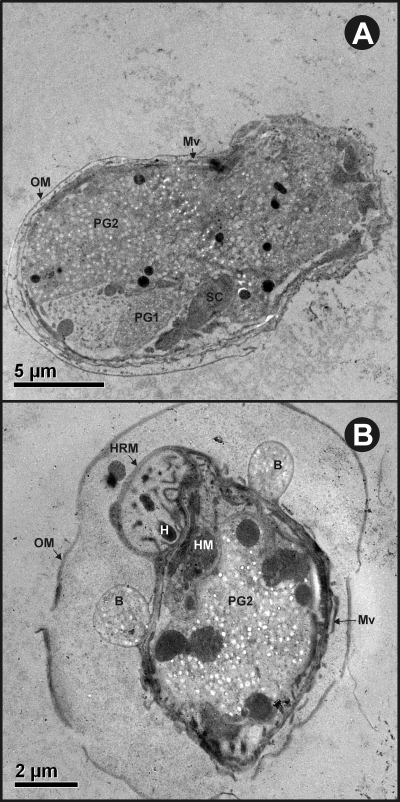 FIG. 6.