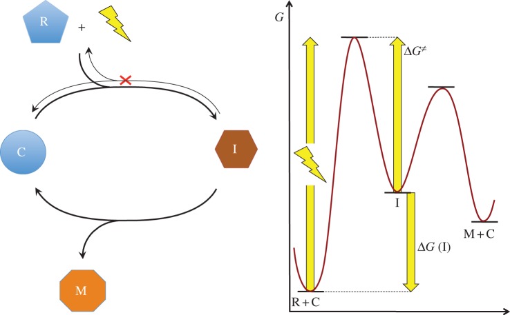 Scheme 4.