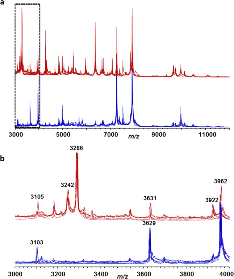 FIG 1