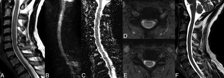 Fig 1.