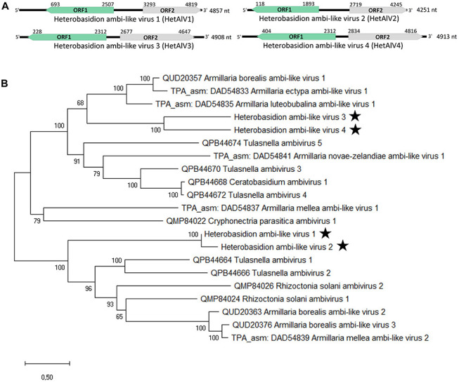 FIGURE 4