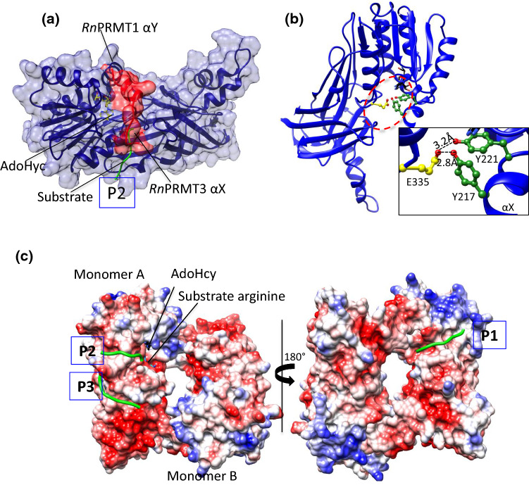 Fig. 3