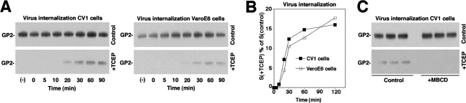 FIG. 5.