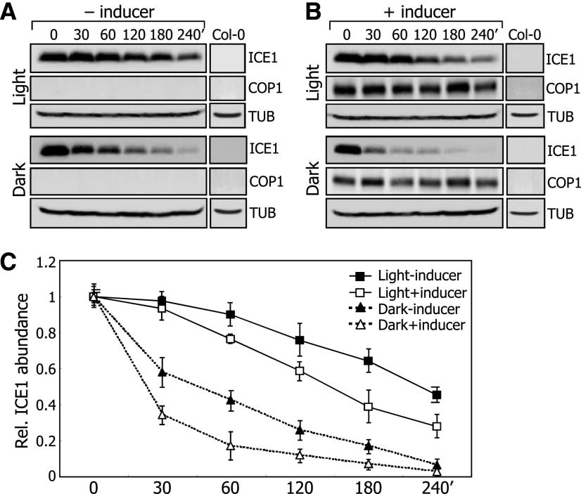 Figure 7.