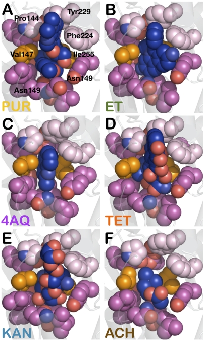 Fig. 6.