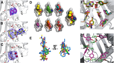 Fig. 2.