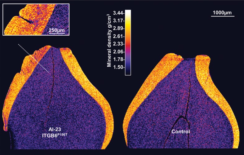 Figure 3.