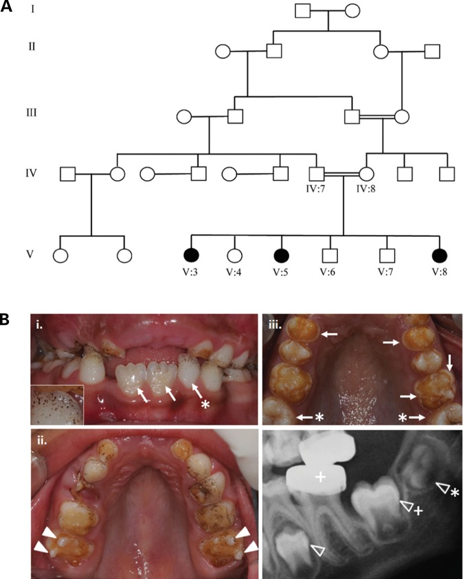 Figure 1.