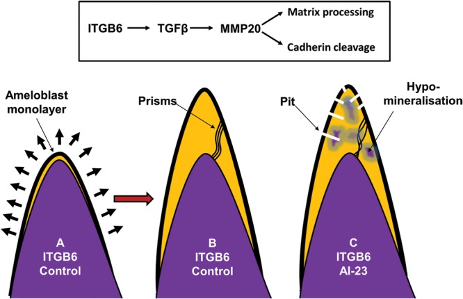 Figure 5.