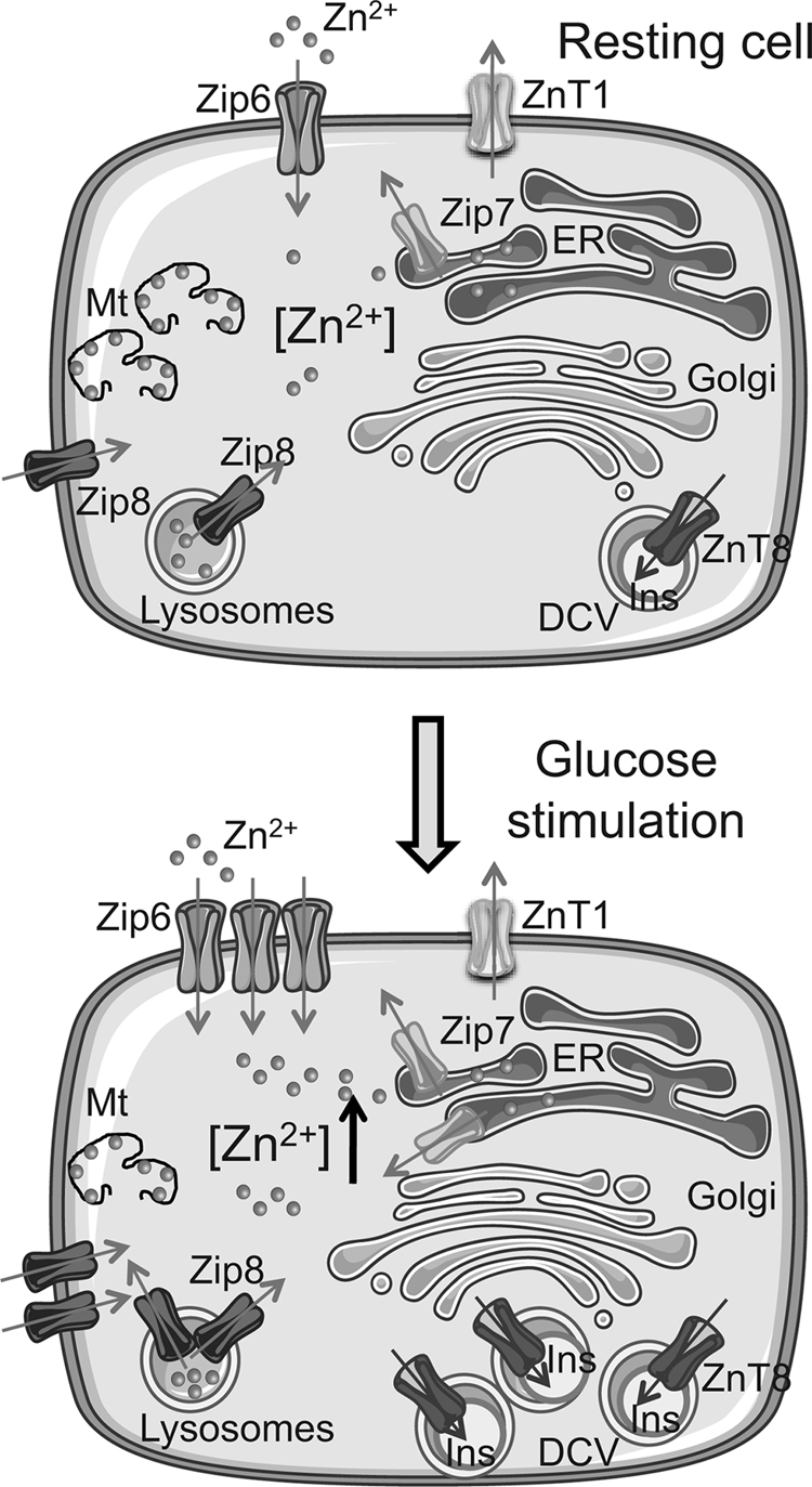 FIGURE 9.