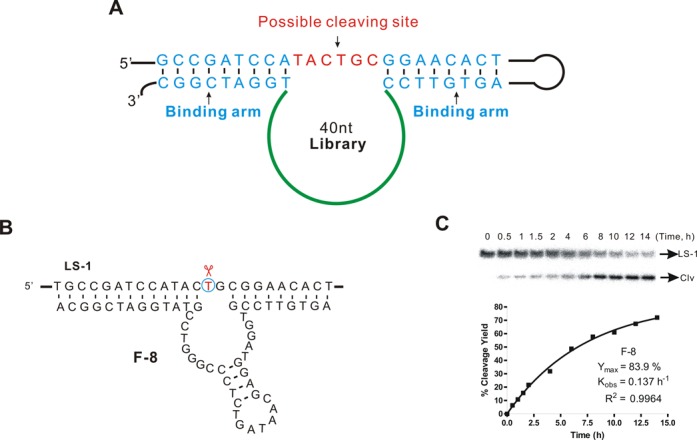 Figure 2.