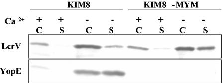 FIG. 5.