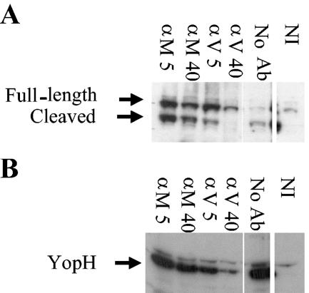 FIG. 7.