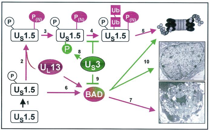 FIG. 9.