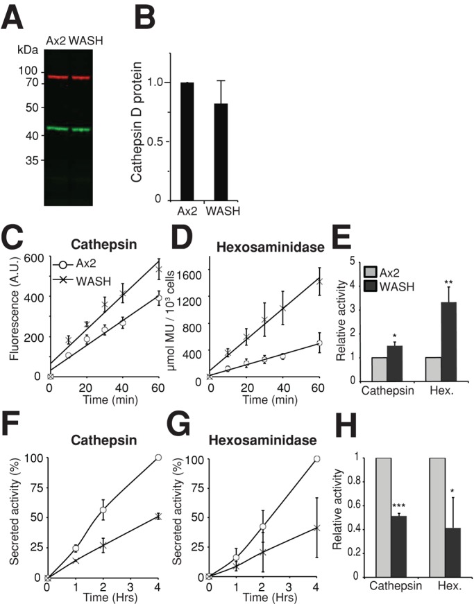 FIGURE 6: