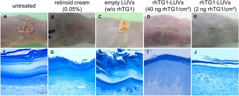 Figure 4