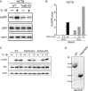 Figure 3—figure supplement 1.