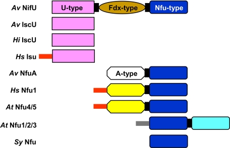 FIGURE 1.