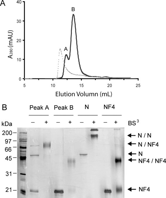 Fig. 5