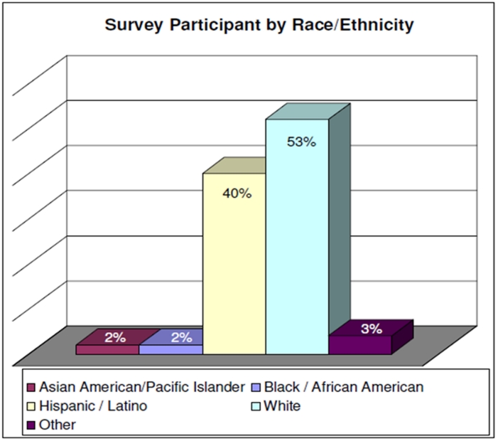 Figure 3:Race and Ethnicity of Survey Participant