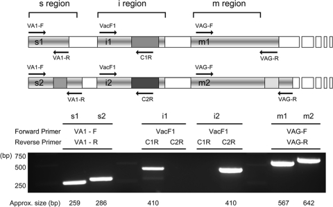 FIG. 1.