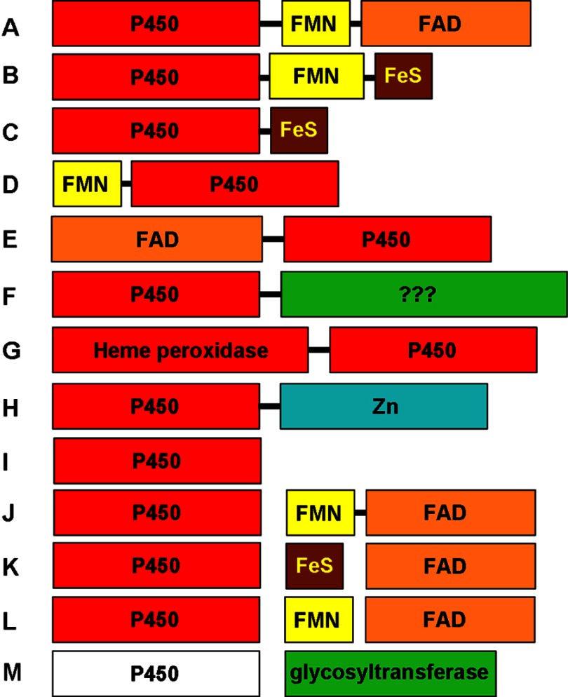 FIGURE 4.