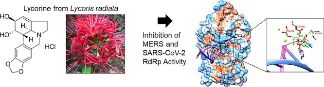 Image, graphical abstract