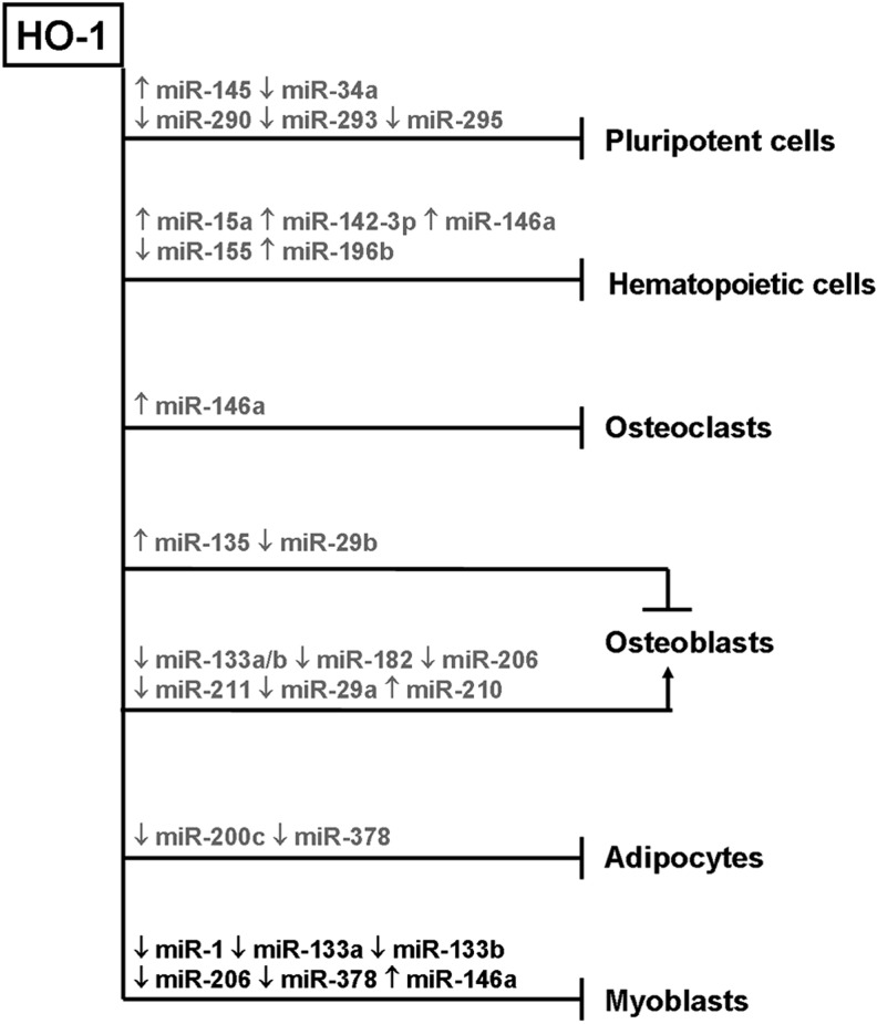 FIG. 8.