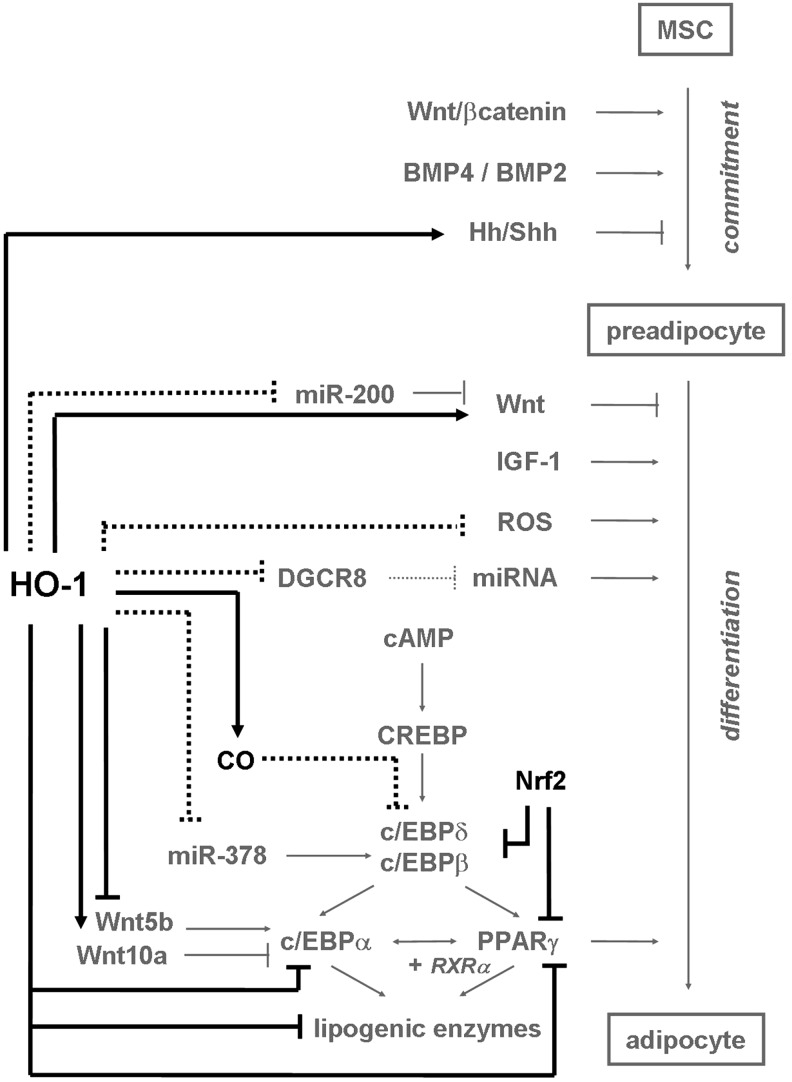 FIG. 6.