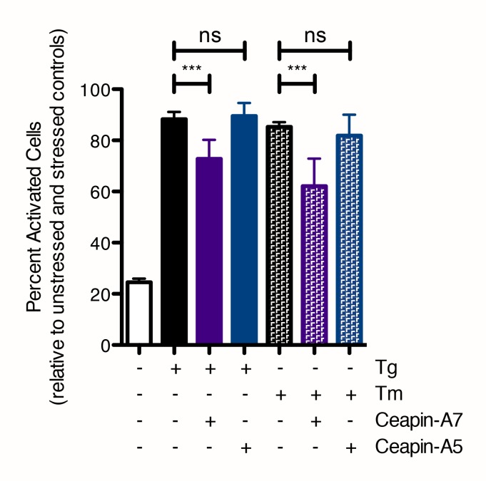 Figure 1—figure supplement 1.