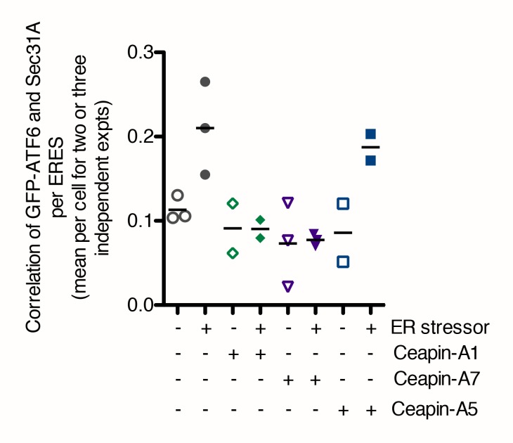 Figure 6—figure supplement 1.