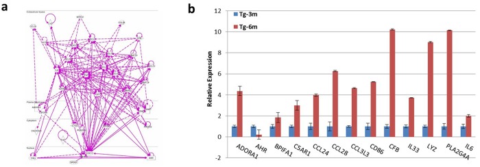 Fig 6