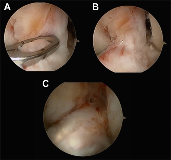 Figure 3.