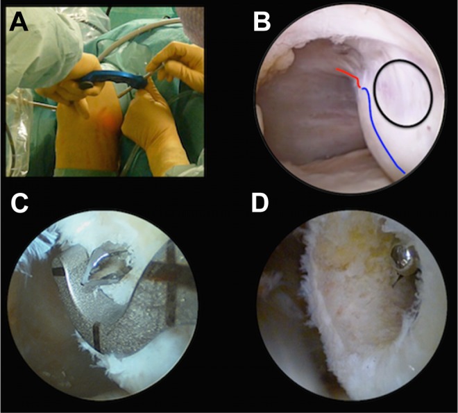 Figure 2.