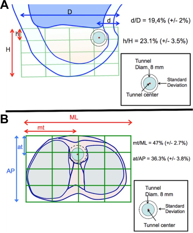 Figure 6.