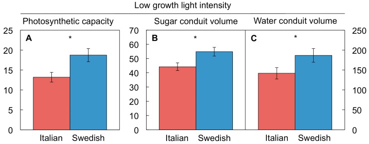 Figure 6