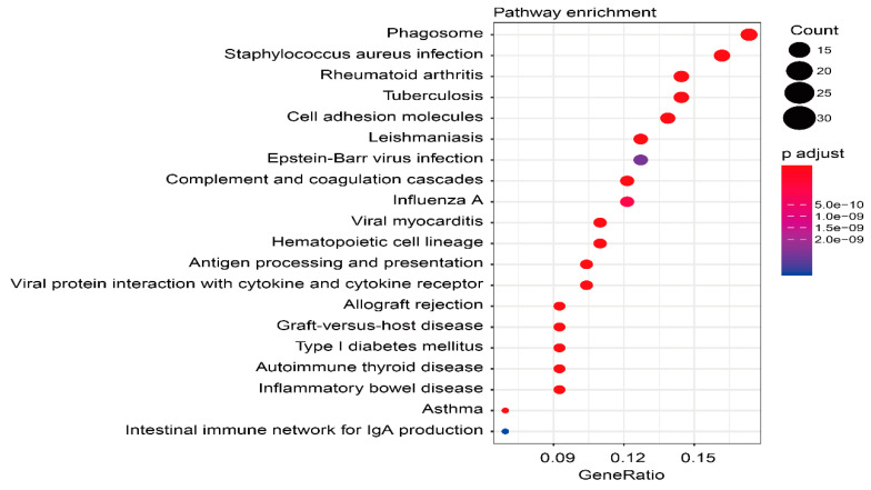 Figure 16