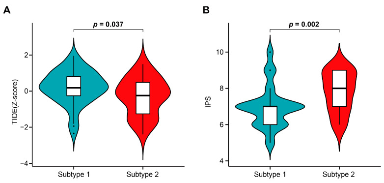 Figure 12