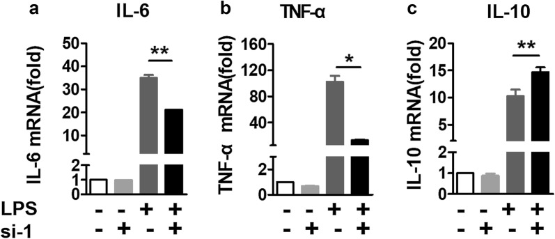 Fig. 4