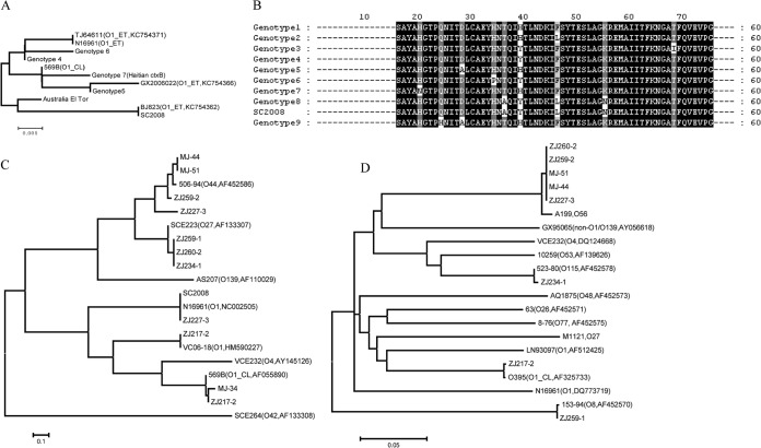 FIG 1