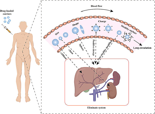 Image, graphical abstract